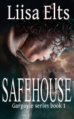Safehouse2